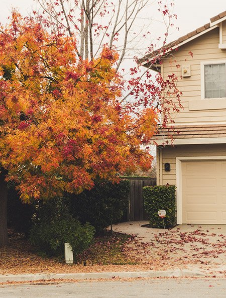 Five Ways to Prepare Your Home Before a Freeze